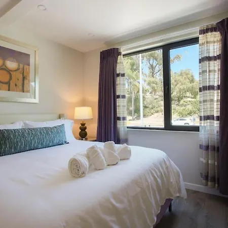 Spacious 500 Sqft Studio With Balboa Park View